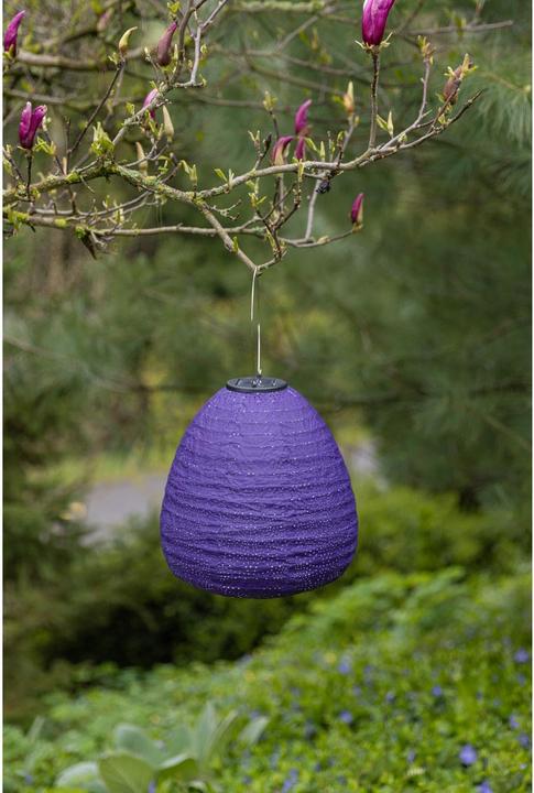Immagine prodotto Cocon Cupola solare a LED Lampion, viola (0.42 m)