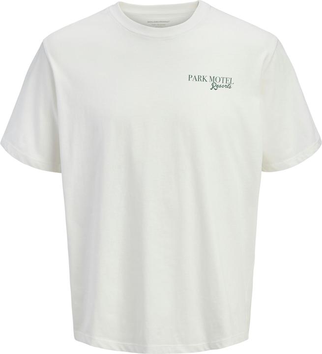 Immagine prodotto Jack & Jones Jorbradley Park Motel Tee Ss C.N Stmss25 (L)