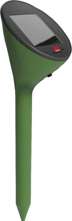 Actual product image Super Cat Solar-Maulwurf & Wühlmaus -Vertreiber SUPERCAT