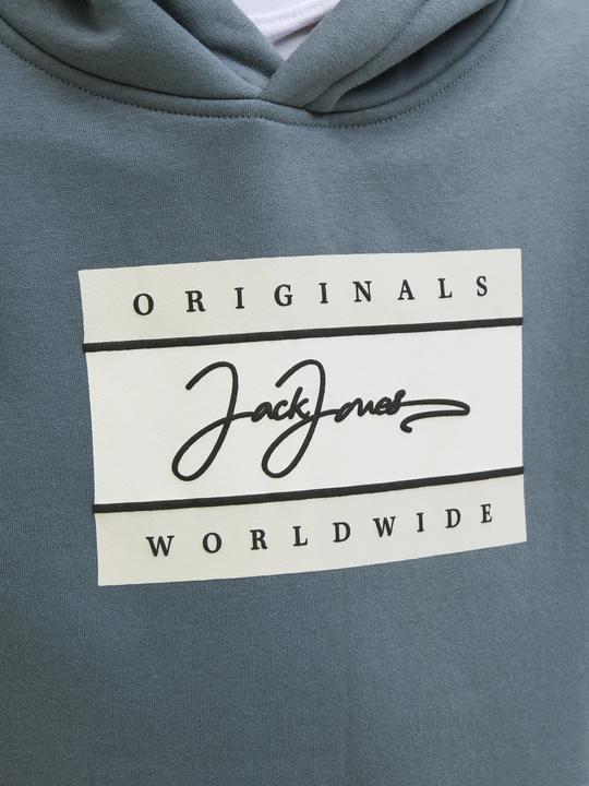 Image du produit Jack & Jones Logo Kapuzenpullover Mini Kapuzenpullover (110)