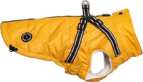 Chiara Wintermantel mit Geschirr Nick