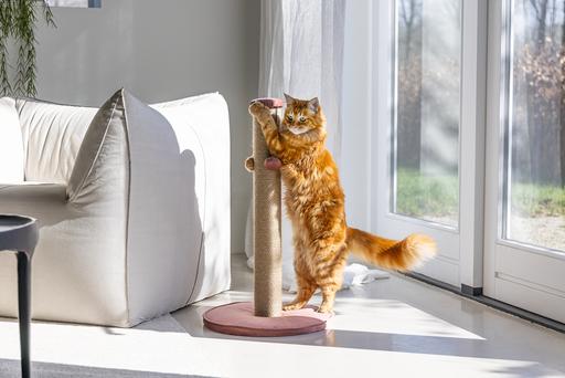 Actual product image Designed by Lotte Scratching post Yenna (70 cm, Rose)