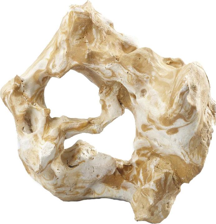 Immagine prodotto Europet Decor Fellas (Fondamenti, altre voci)