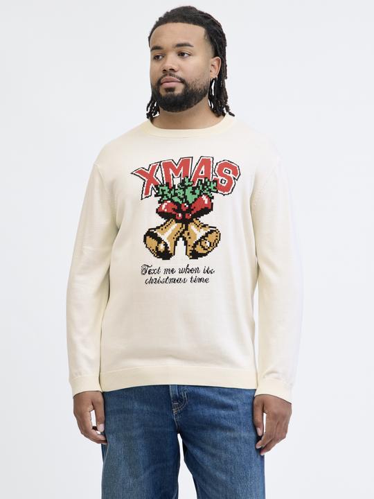 Produktbild Jack & Jones Plus Size Strickpullover Strickpullover (4XL)