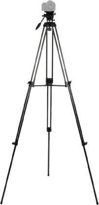 Actual product image Nest Video Tripod NT-777+ Vloeistofgedempte Head (Metal)
