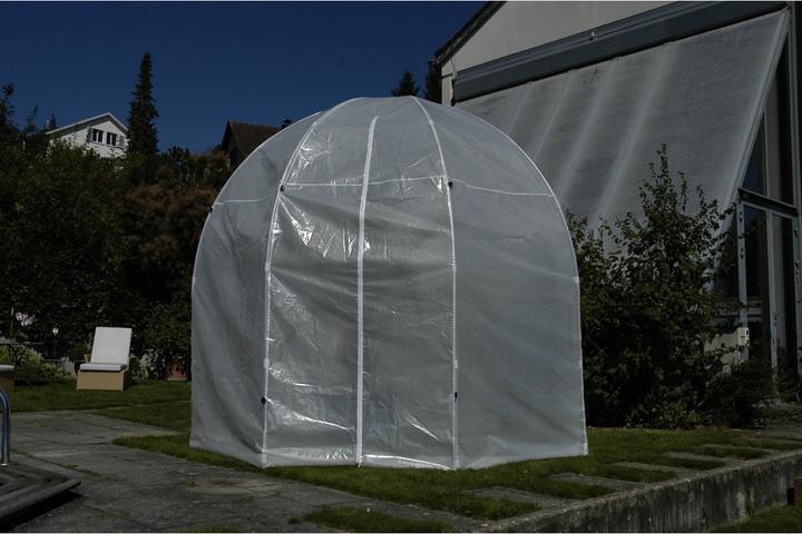 Immagine prodotto Colibri Premium Palm House