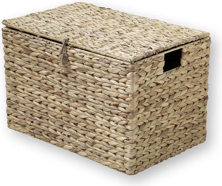 Actual product image Casâme Wasserhyazinthen (35 cm)