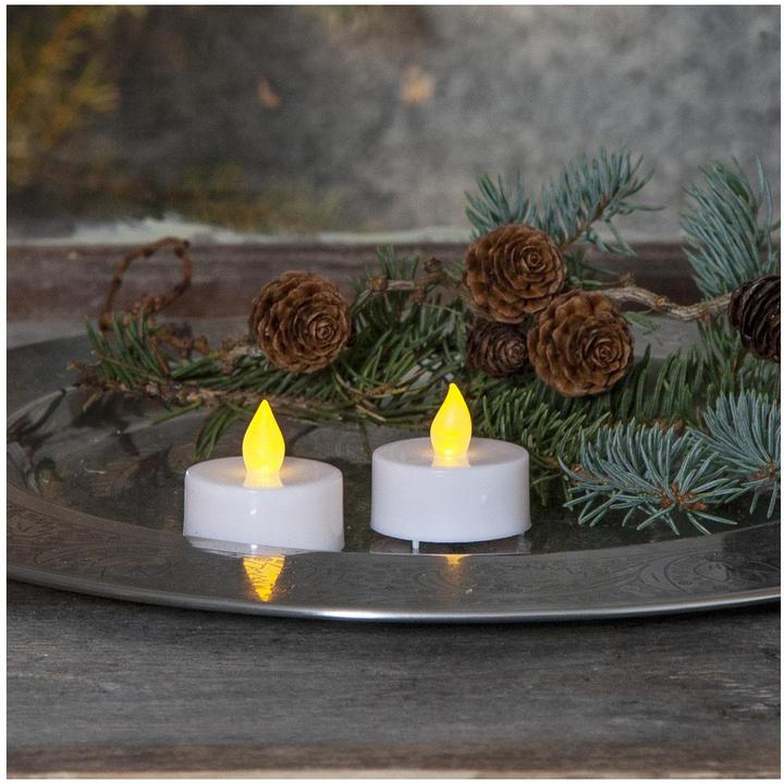 Actual product image Star Trading Paulo (2 x)