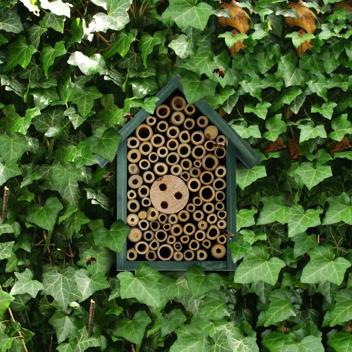 Image du produit Relaxdays Hôtel pour insectes (Abeilles sauvages)