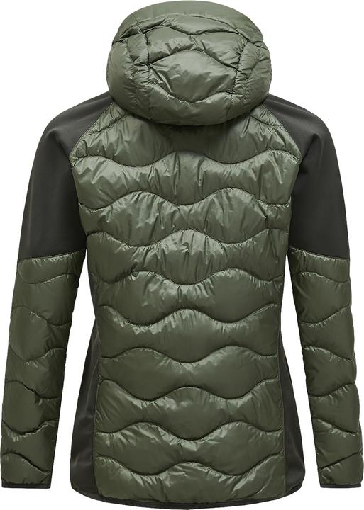 Aiguille de pin, olive