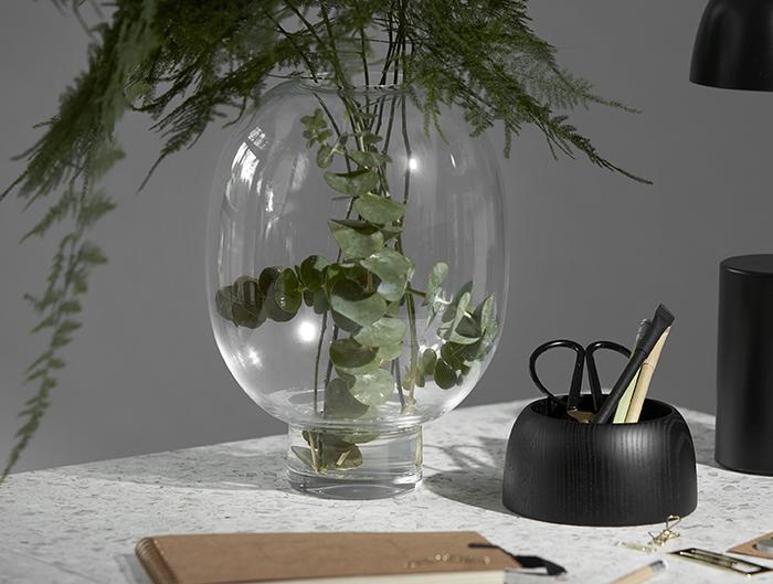 Produktbild ChiCura Morchella (1x)