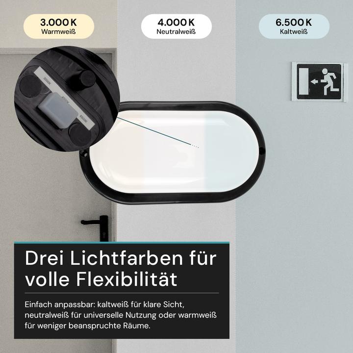Image du produit Luxula LED-Kellerleuchte, 12W, EEK: F, 1080lm, CCT, IP54, schwarz (1080 lm)