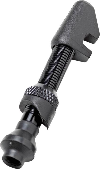 DT Swiss Tubeless Ventil Alu