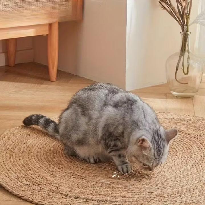 Actual product image Suba Boden-Kratzmatte (Brown)