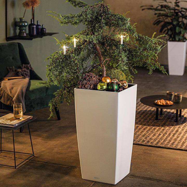 Immagine prodotto Lechuza Cubico Color (39.50 cm)