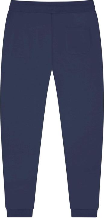Actual product image Dropsize Super Heavy Blank Jogger - 124951 (XS)