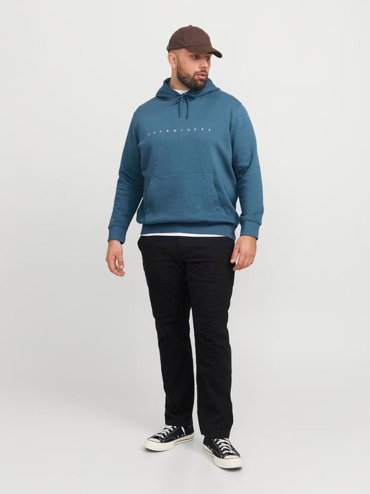 Actual product image Jack & Jones Jjestar Jj Sweat Hood Noos Pls (6XL)