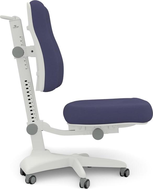 Actual product image Lifetime Kidsrooms Office chair model Ergo Dark