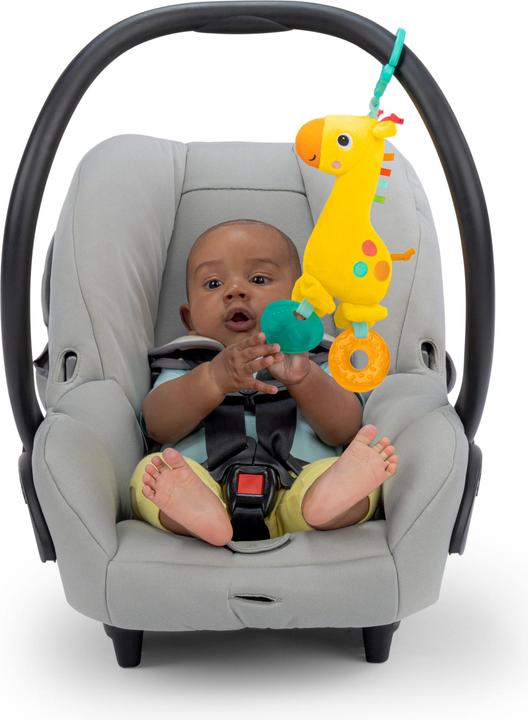 Image du produit Bright Starts Girafe mica et paillettes