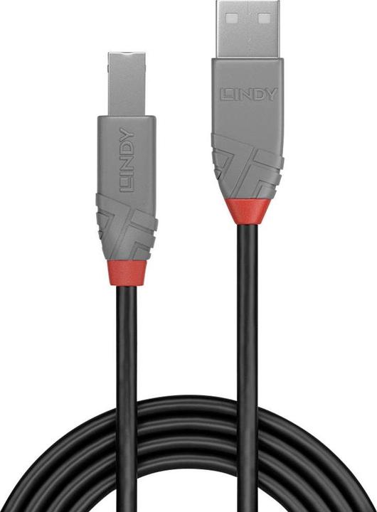 Actual product image Lindy USB/A-USB/B M-M (2 m, USB 2.0)