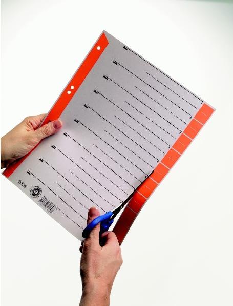 Image du produit Leitz Intercalaire imprimé en couleur
