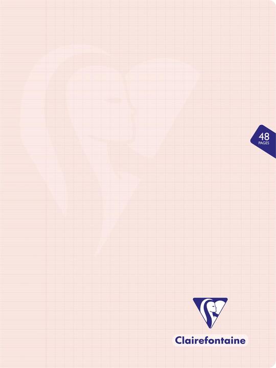 Actual product image Clairefontaine Mimesys Pastel, booklet (Soft cover)