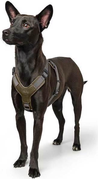 Produktbild Hunter Geschirr Aalborg Mixed (XS, S, Hund, Allgemein)