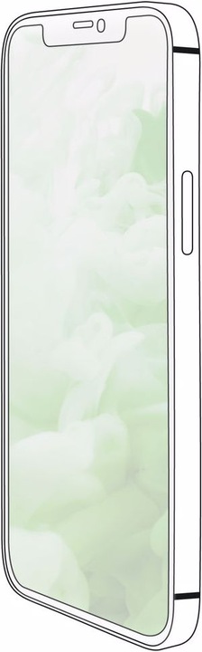 Produktbild Artwizz Second Display (1 Stück, Apple iPhone 12 Pro Max)