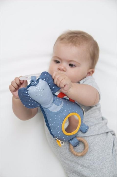 Actual product image Trixie Baby Activity hanging toy