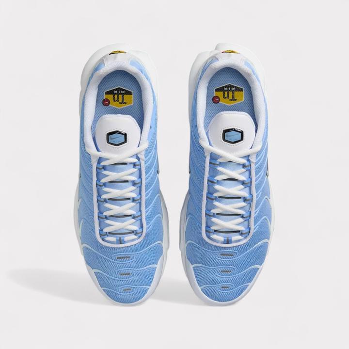 Image du produit Nike Air Max Plus (41)