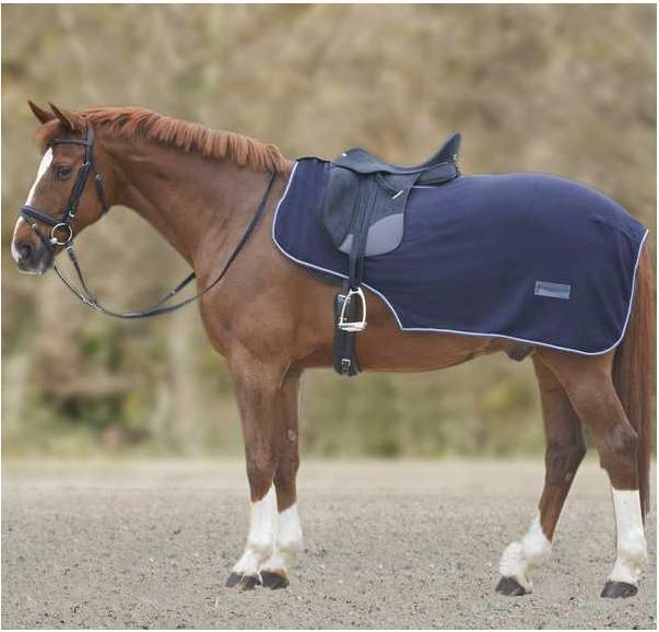 Produktbild Waldhausen Fleece-Ausreitdecke Economic (155 cm)