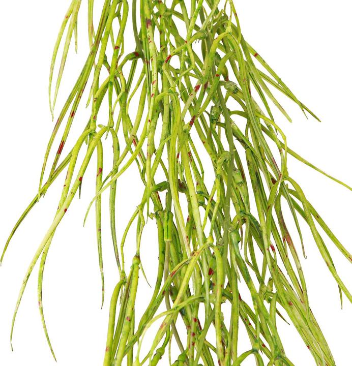 Immagine prodotto DPI Hänger (150 cm)