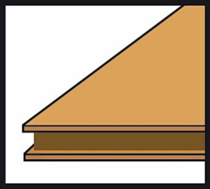 Actual product image Bosch Home & Garden Paint container