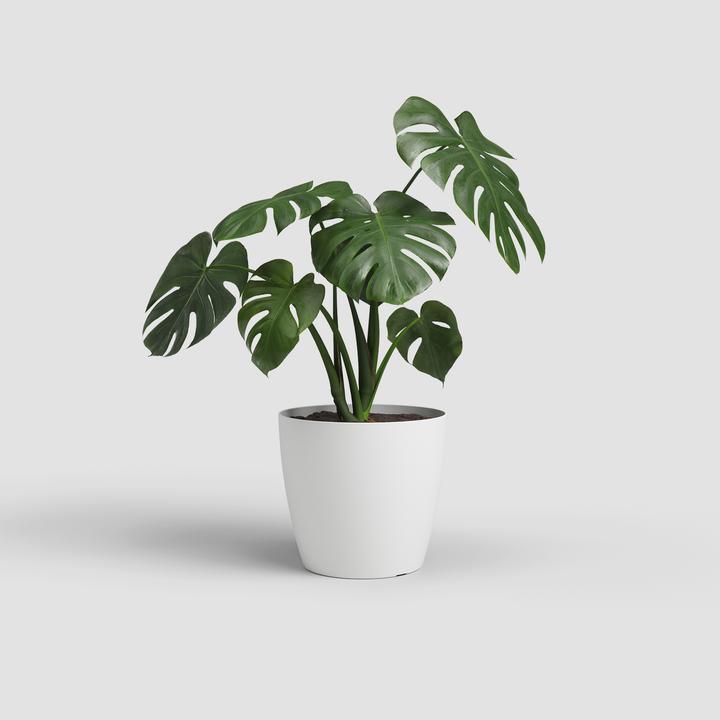 Actual product image Artevasi San Remo Pot Matte (42 x 39.50 cm)