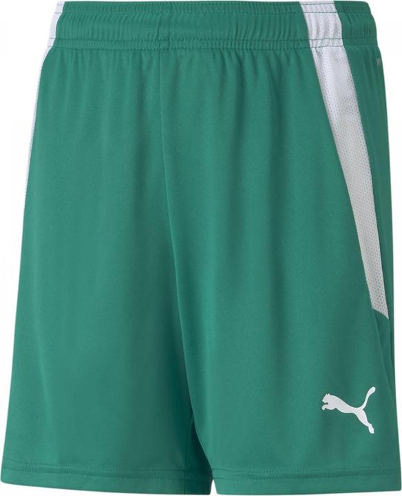 Actual product image Puma teamLIGA Shorts Jr-704931 (152)
