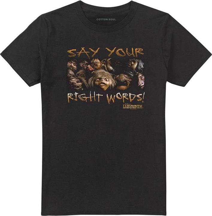 Say Your Right Words TShirt (4XL)