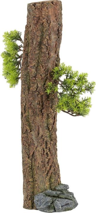 Image du produit Zolux Forest XXL aquarium decoration (Décoration, autres éléments)