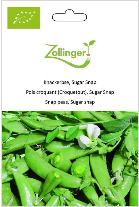 Produktbild Zollinger Bio Knackerbse, Sugar Snap (Keimlinge)