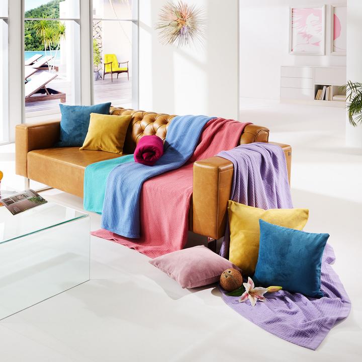 Image du produit Erwin Müller Sommer-Decke (220 x 240 cm)