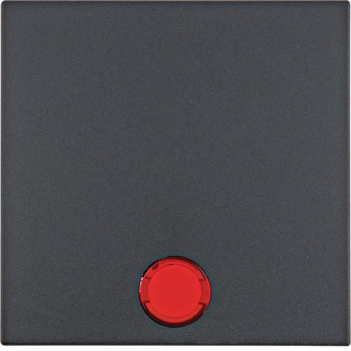 Actual product image Berker Rocker