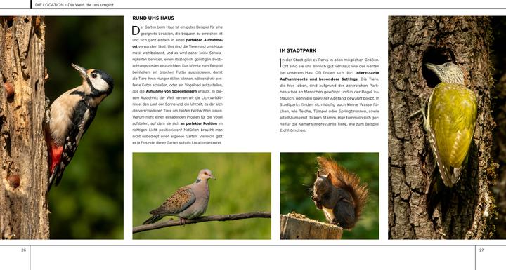 Produktbild Einführung in die Naturfotografie (Deutsch, Iago Corazza, Massimiliano Biasioli, 2022)