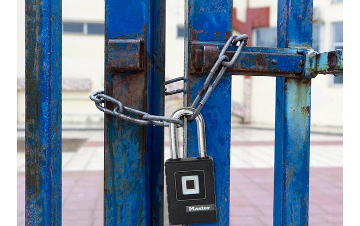 Actual product image Master Lock Padlock 4901EURDLHCC Zinc