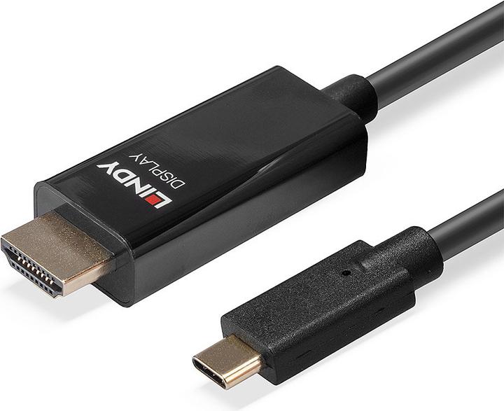 Actual product image Lindy Video Interface Converter (5 m)