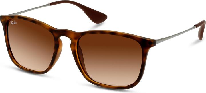 Testuggine, Brown