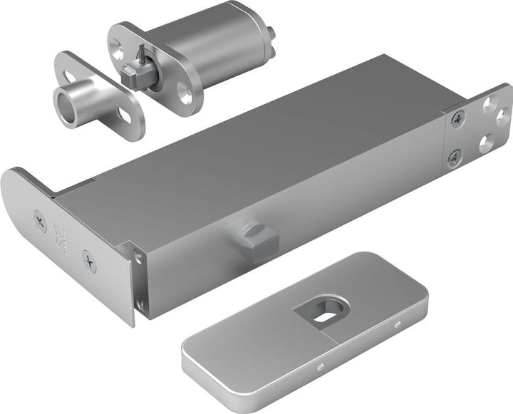 Produktbild Rieffel Türband Pivotica Pro FM, max. Türgewicht 100kg, Türstärke ab 40 mm, Edelstahl