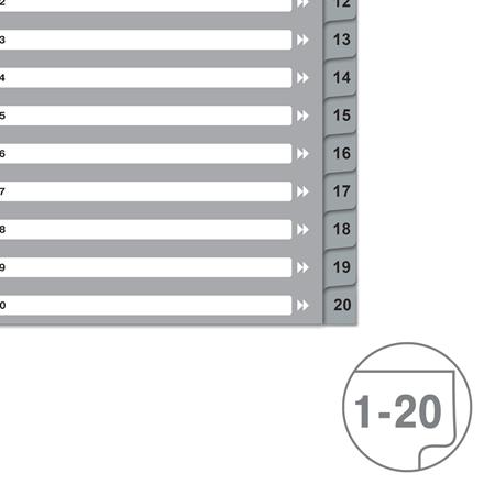 Image du produit von Hallers Intercalaires A4, 1-20