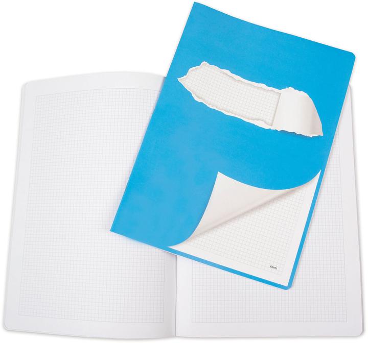 Elco Schulheft 4 mm kariert mit Rand A4 (21 x 29.7 cm, Kariert, Weicher Einband)