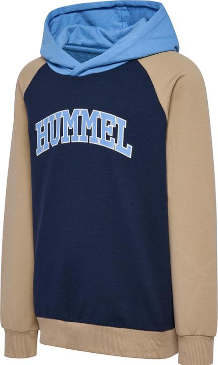 Actual product image hummel hmlESSEN HOODIE (134)