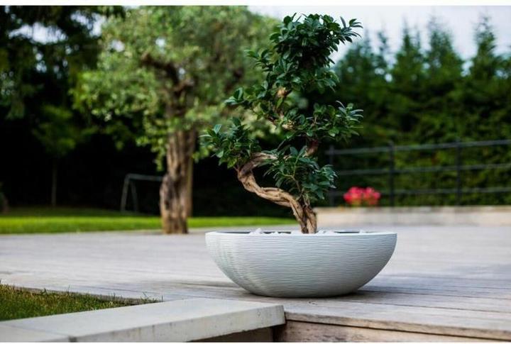 Produktbild Weleda Blumentopf EDA Ø 59 cm Weiss Kunststoff rund (59 x 56.20 cm)