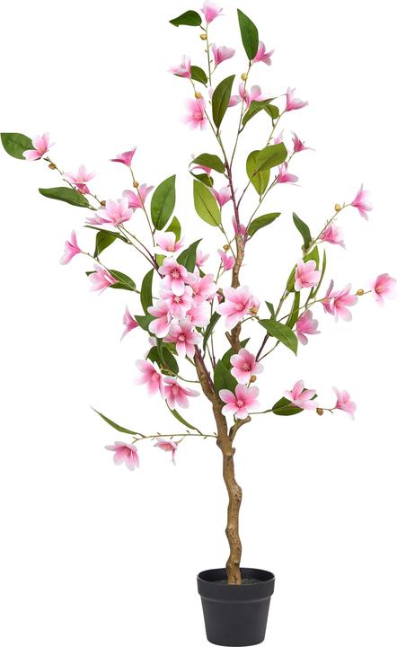 Produktbild Beliani Magnolia Tree (128 cm)